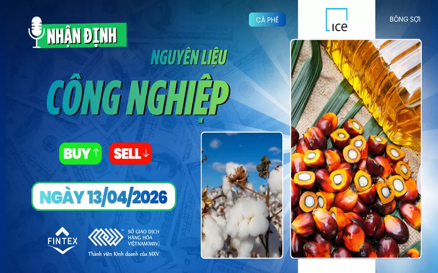 NHẬN ĐỊNH NGUYÊN LIỆU - CÔNG NGHIỆP NGÀY 13/04/2026